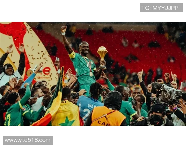 非洲足球赛盛况空前各国球队争夺荣耀展现激情与团结